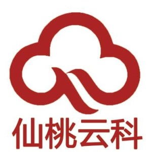 仙桃云科網絡科技 引領數字化未來的先鋒