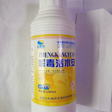 世連健康集團(tuán) 引領(lǐng)食品銷(xiāo)售新潮流，守護(hù)全民健康生活