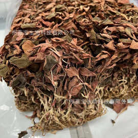 金線蓮500藥品批發(fā)指南 選購、優(yōu)勢與市場前景